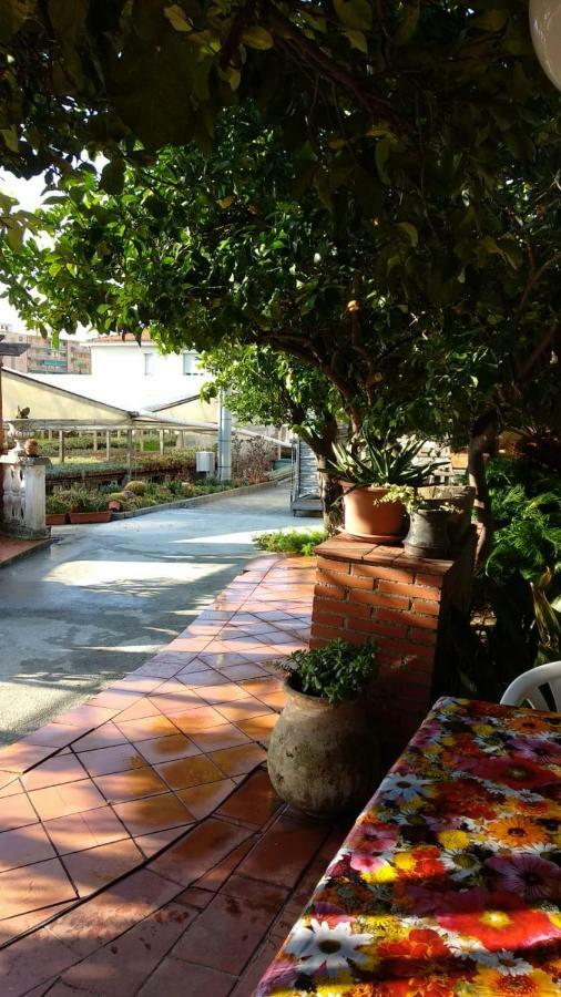 Villa Ca' Federica Vallecrosia Esterno foto